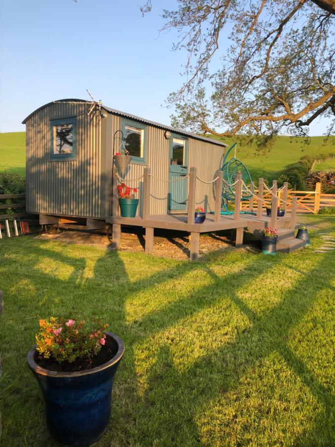 The Peacock Shepherds Hut At Hafoty Boeth كورين المظهر الخارجي الصورة