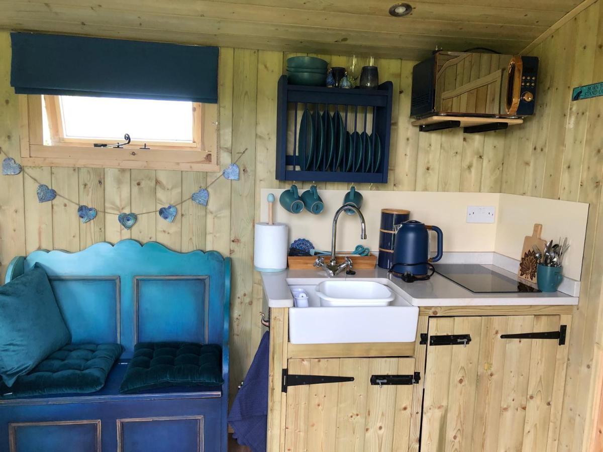 The Peacock Shepherds Hut At Hafoty Boeth كورين المظهر الخارجي الصورة