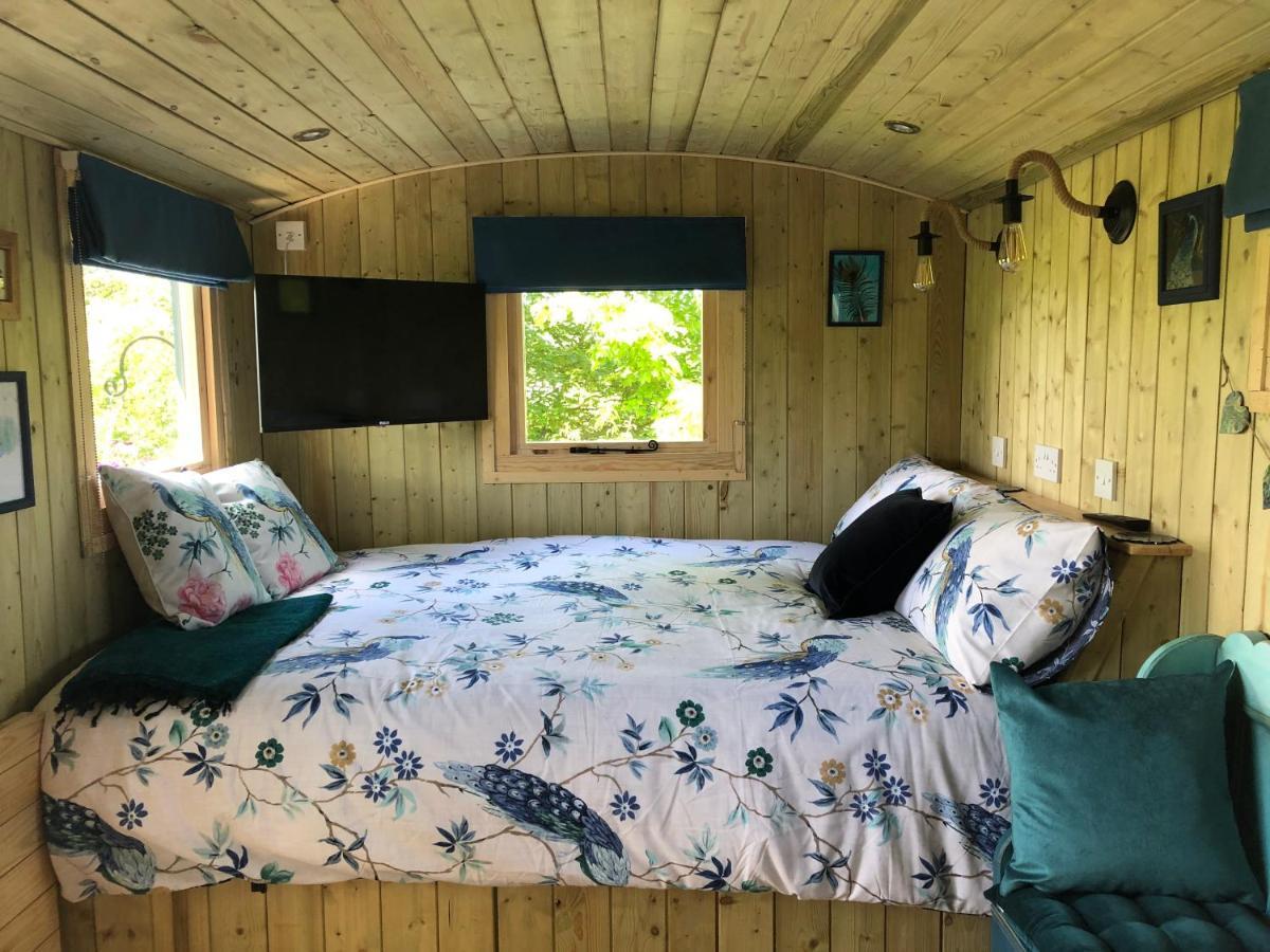 The Peacock Shepherds Hut At Hafoty Boeth كورين المظهر الخارجي الصورة
