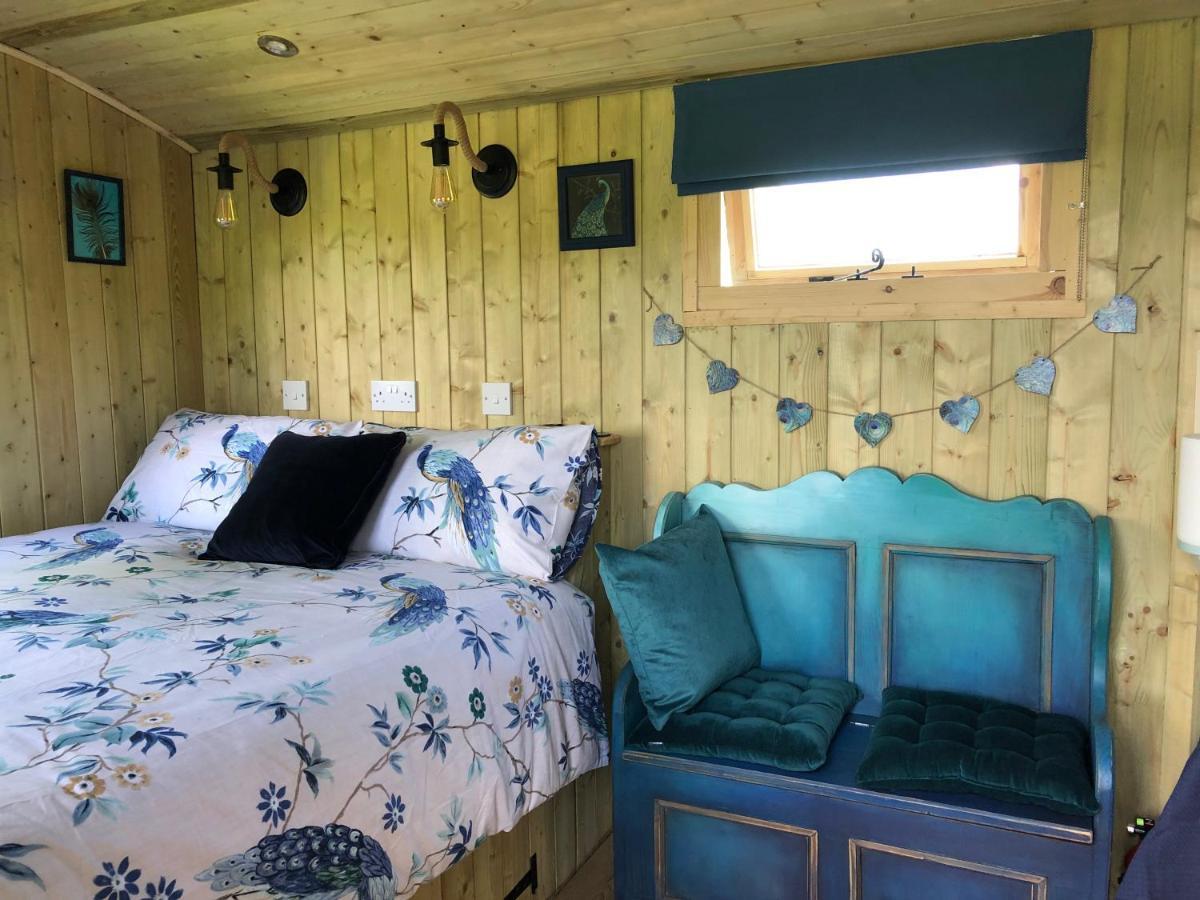The Peacock Shepherds Hut At Hafoty Boeth كورين المظهر الخارجي الصورة