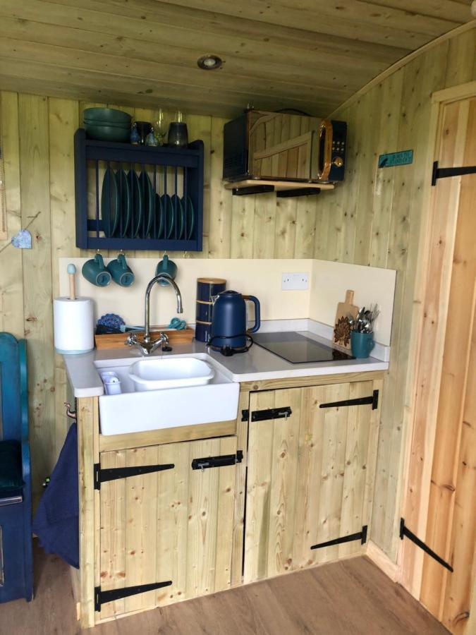 The Peacock Shepherds Hut At Hafoty Boeth كورين المظهر الخارجي الصورة
